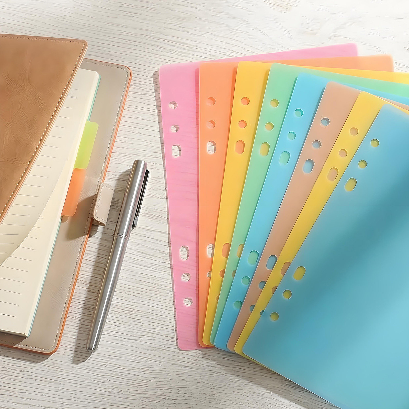 Index Tab Divider - 10 Pezzi di Divisori Colorati in