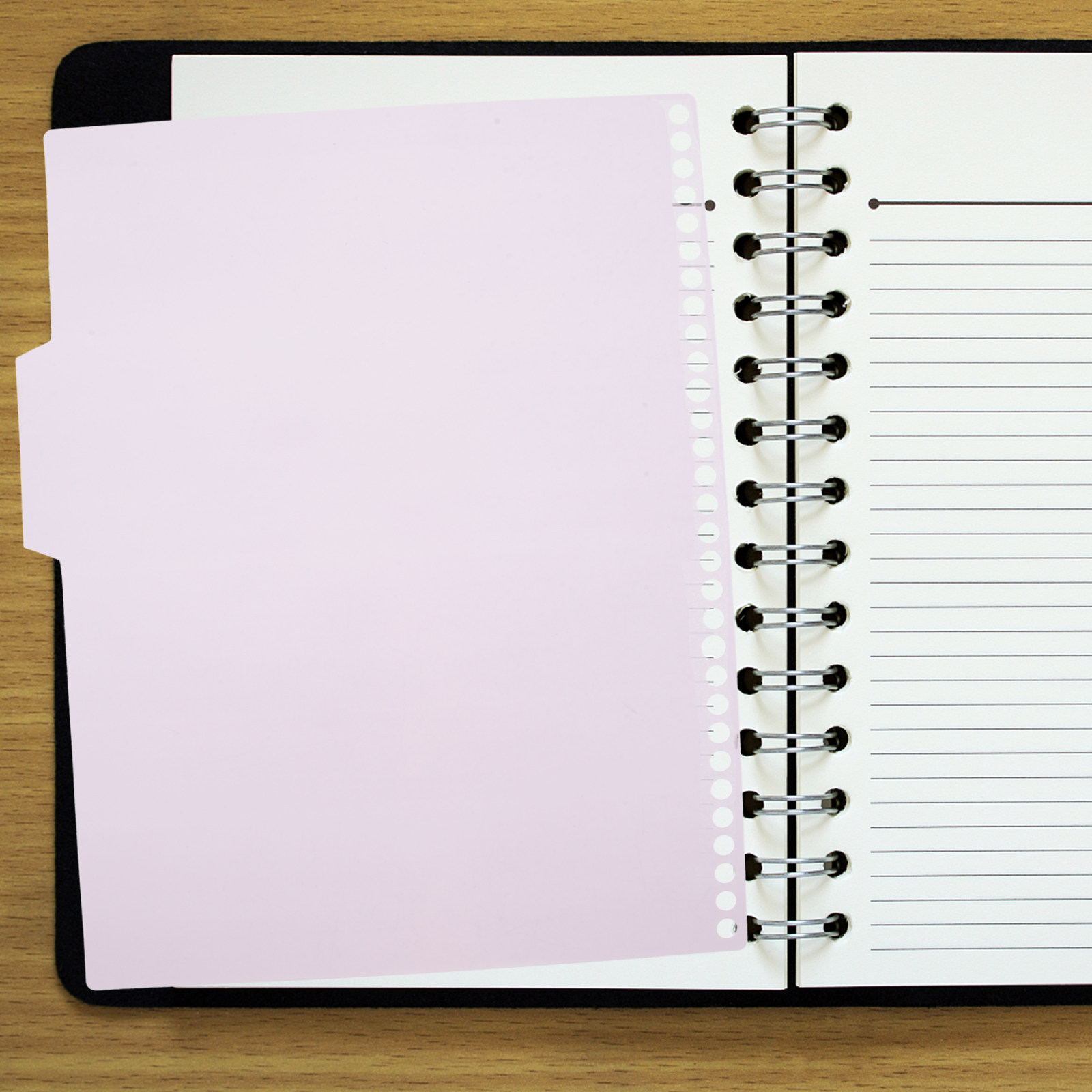 6 Set di Divisori Colorati per - Index Tab Divider recensione e prezzo