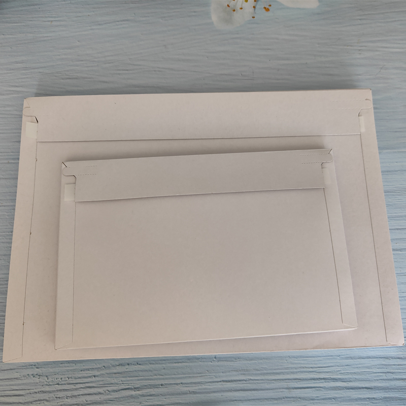 25 Buste Rigide Bianche per Sp - Letter Envelope Kraft recensione e prezzo